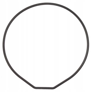 CASIO 74212782 - Uszczelka wieczka - BG-097 / BG-099