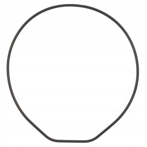 CASIO 10600725 - Uszczelka wieczka - GM-6900