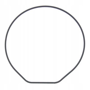 CASIO 10453525 - Uszczelka wieczka - GB-X6900 / GD-X6900 / GD-X6930