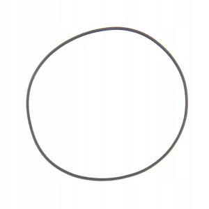 CASIO 10297041 - Uszczelka wieczka - EQW-500 / EQW-700 / LIW-500 /  WVQ-550 / WVQ-620