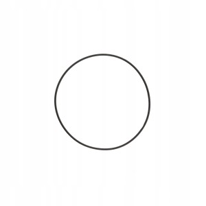 CASIO 72046666 - Uszczelka wieczka - MTP-1020 / MTP-1048 / MTP-1055 / MTP-1066 / MTP-1080 / MTP-1095 / MTP-1163 / MTP-3022