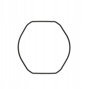 CASIO 10285501 - Uszczelka wieczka - AQ-164W / AQ-164WD