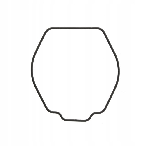 CASIO 10096805 - Uszczelka wieczka - GW-300 / GW-500 / GW-700 / GW-900 / GW-M500 / MTG-900 / MTG-950 / MTG-M900