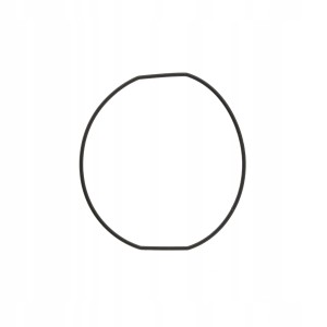 CASIO 74208946 - Uszczelka wieczka - AQ-39