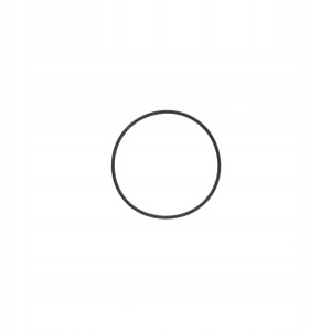 CASIO 74201323 - Uszczelka wieczka - LQ-59 / LQ-333 / LQ-363