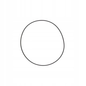 CASIO 74206671 - Uszczelka wieczka - AQ-311