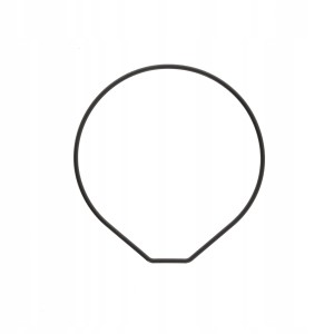 CASIO 10427942 - Uszczelka wieczka - BG-6900 / BG-6901 / BG-6902 / BG-6903 / GMD-S6900