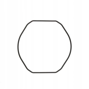 CASIO 10300041 - Uszczelka wieczka - AQW-100 / AQW-101