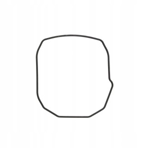 CASIO 74211452 - Uszczelka wieczka - AQ-231 / AQ-51