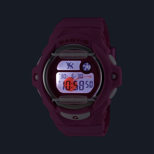 BG-169CH-4ER_2 kopia.png
