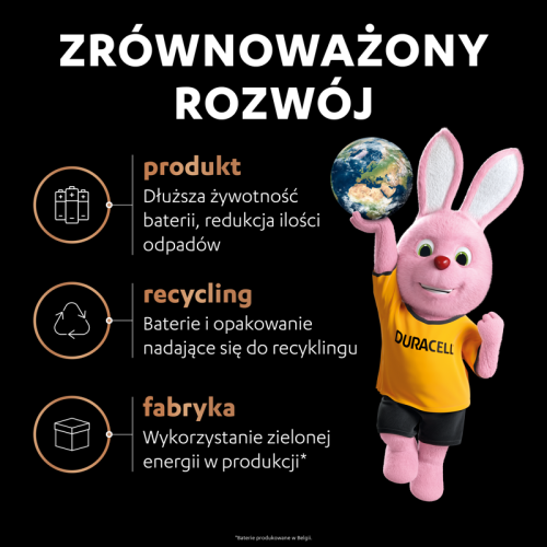 DURACELL AA LR6 Optimum_3