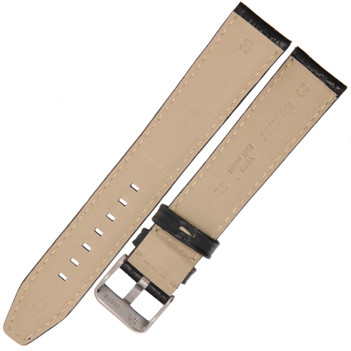 5595701_2 kopia.png