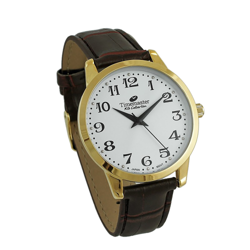 TIMEMASTER 117/45 - Męski - Zegarek na pasku