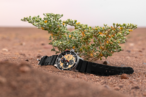 Expedition-Sahara_6S10-598A753_image_9 kopia.png