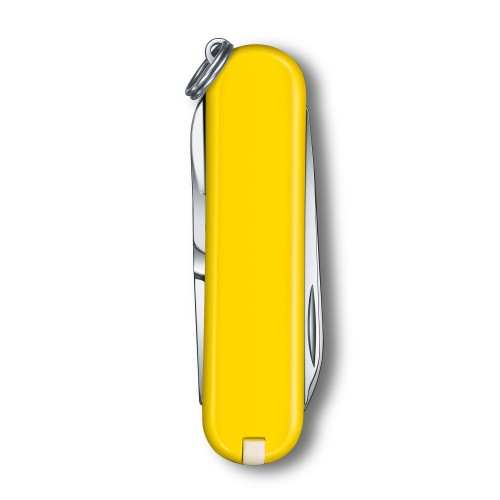 Scyzoryk VICTORINOX - Classic SD - Sunny Said3.jpg